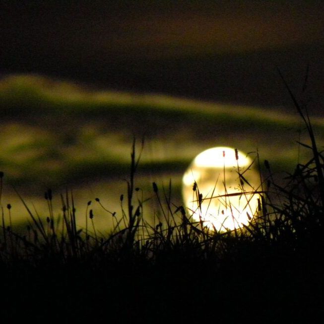 Hagia Chora Wilde Frau 02