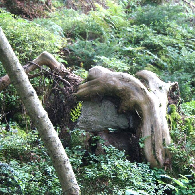 Hagia Chora Wilde Frau 03