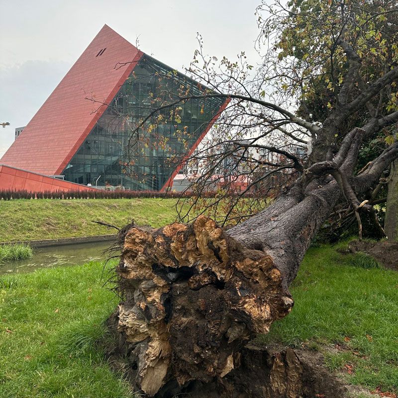 Hagia Chora Lebensraum 03