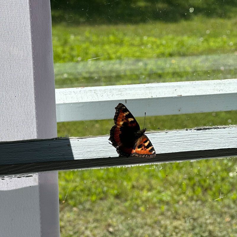 Hagia Chora Lebensraum 02